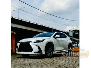 2023 Lexus NX250 2.5 SUV
