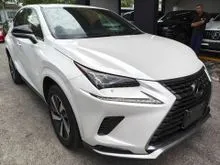 2021 Lexus NX 300 2.0L Turbo (Two Color Full Leather Seat/ 2x Memory Seat/ Panaromic Roof/ Free 6 Year Warranty)