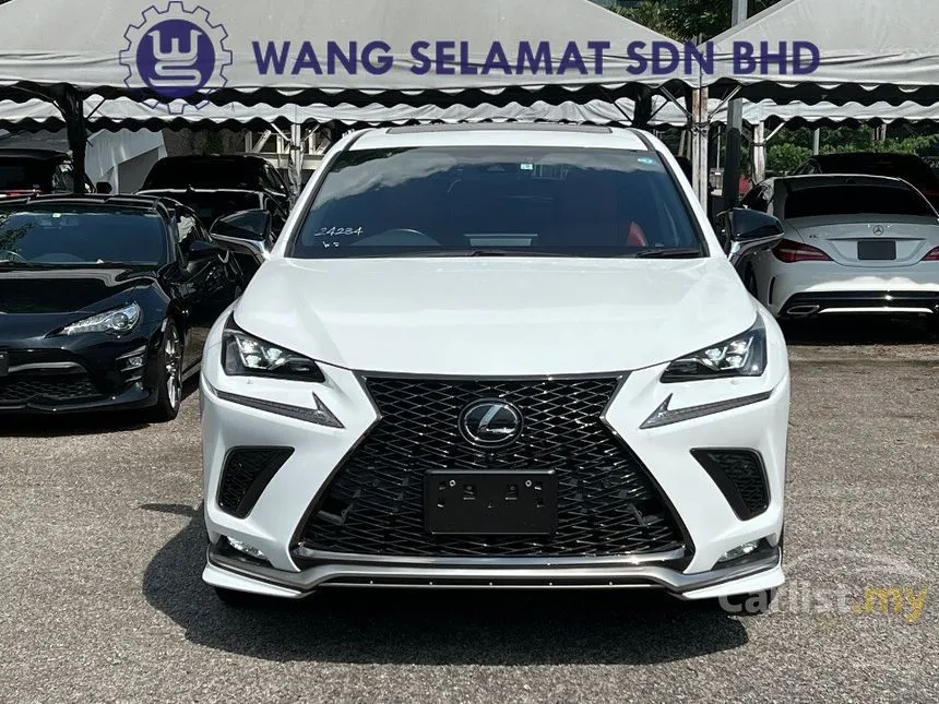 LST Factory F-Sport Grille Front Bumper for LEXUS NX200