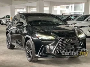 2023 Lexus NX 250 2.5 SUV