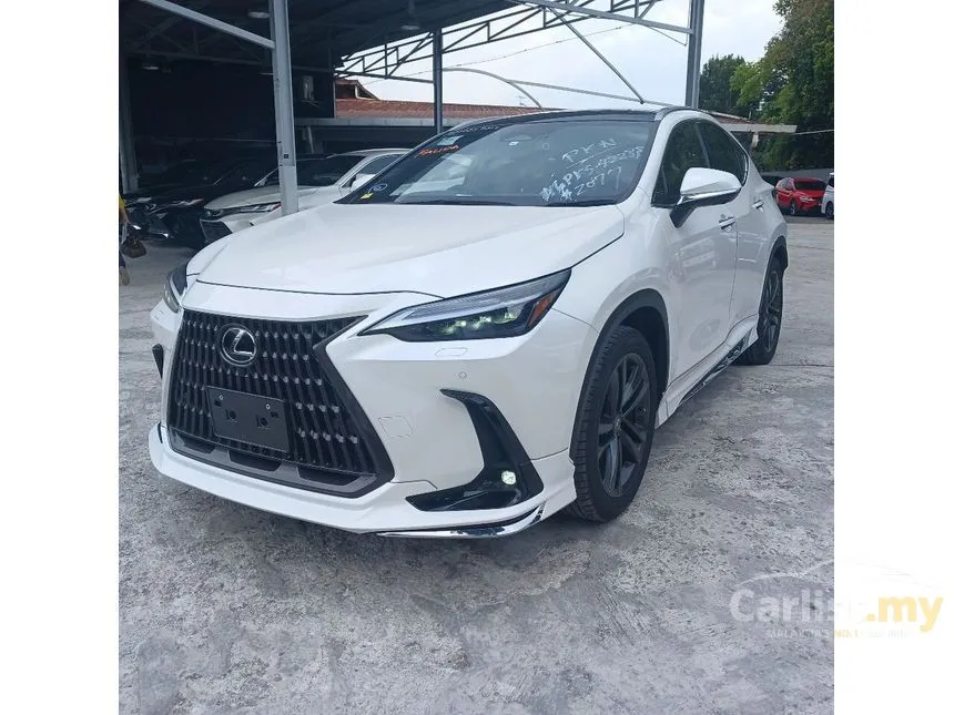 2023 Lexus NX250 Luxury SUV