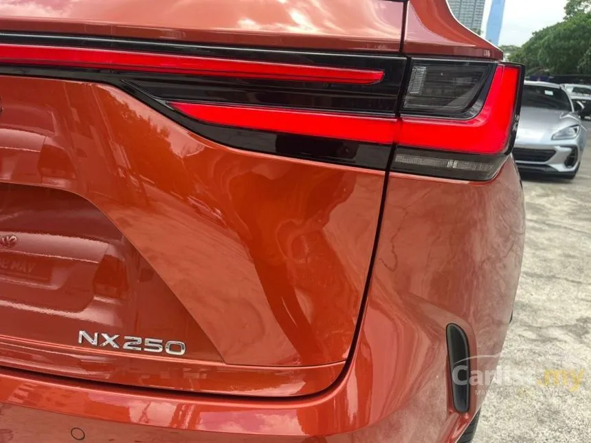 2023 Lexus NX 250 Luxury SUV