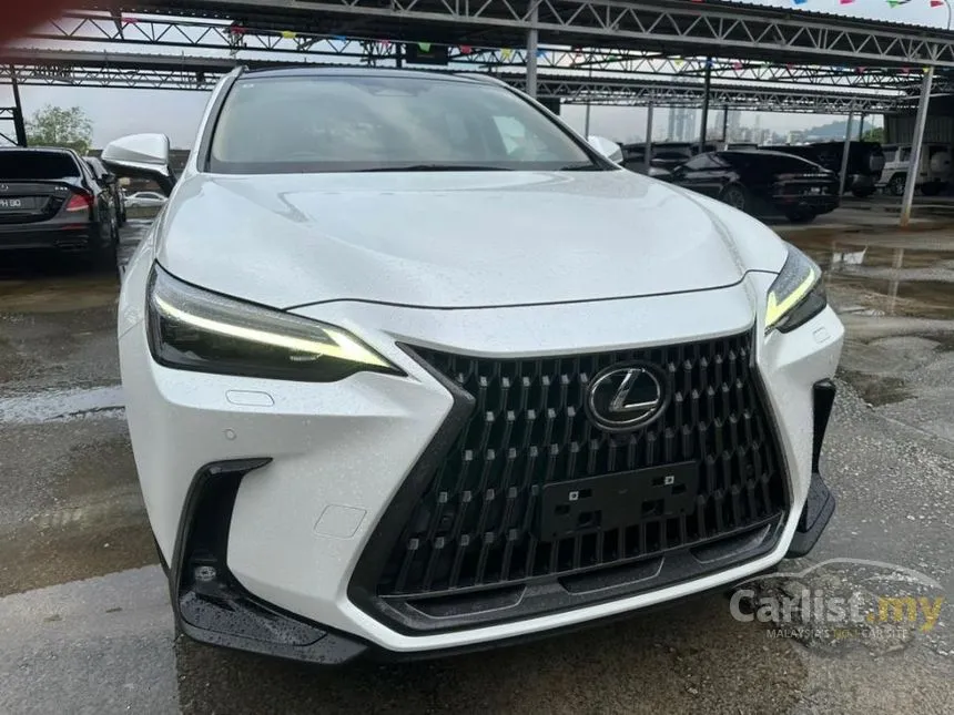 2022 Lexus NX 250 Luxury SUV