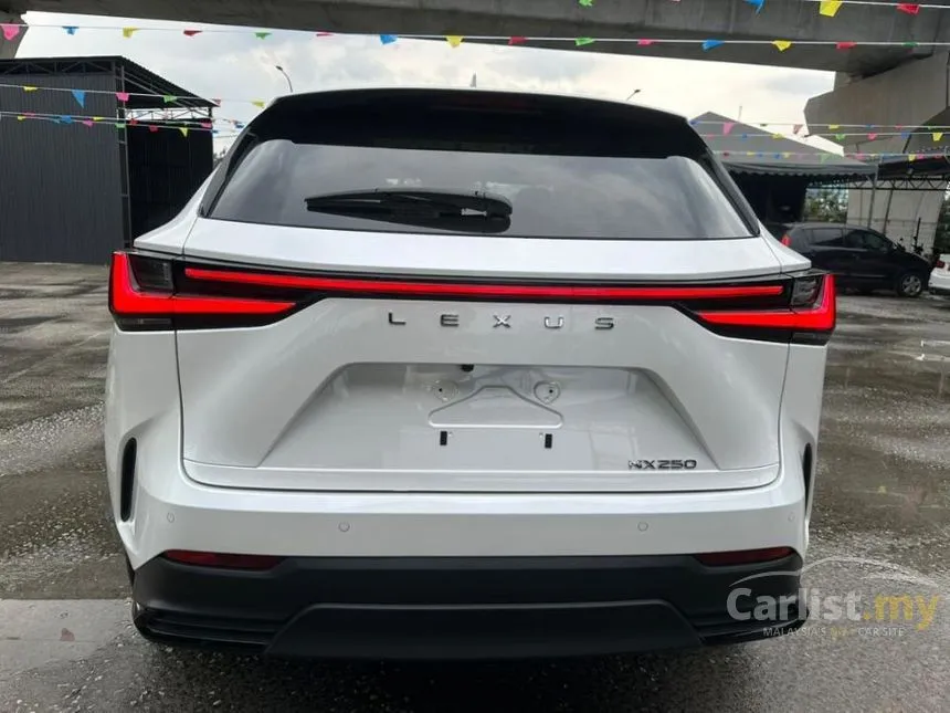 2022 Lexus NX 250 Luxury SUV