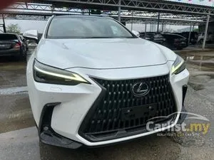 2022 Lexus NX 250 2.5 Luxury SUV