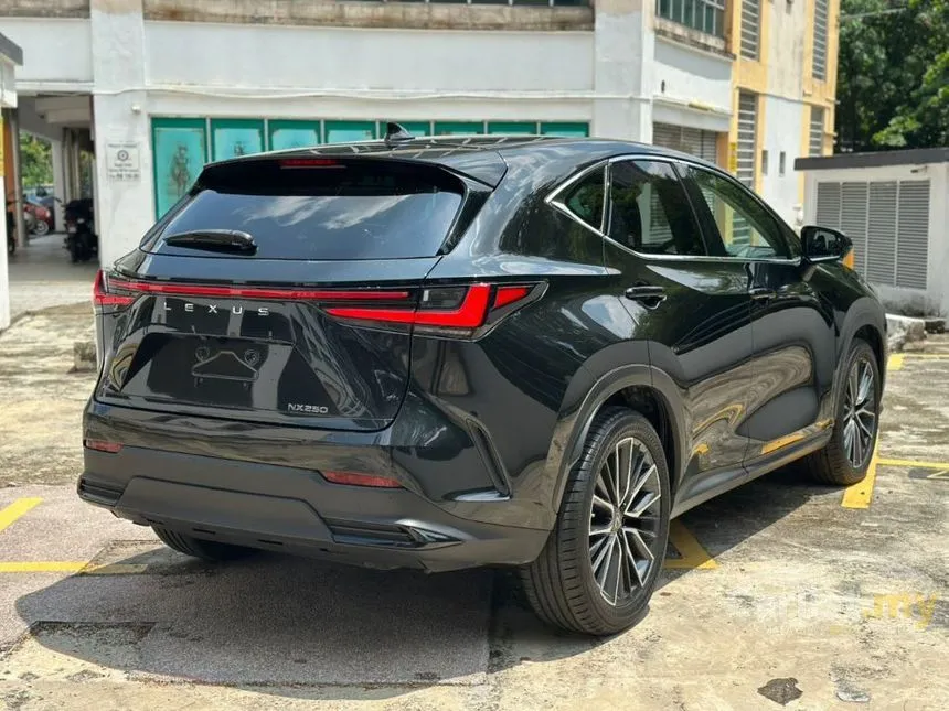 2022 Lexus NX 250 Luxury SUV