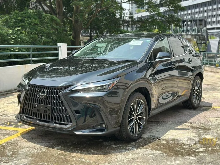 2022 Lexus NX 250 Luxury SUV