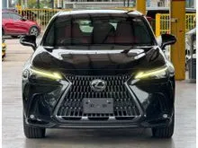 2023 Lexus NX 250 2.5 Luxury SUV