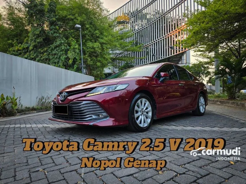 2019 Toyota Camry V Sedan