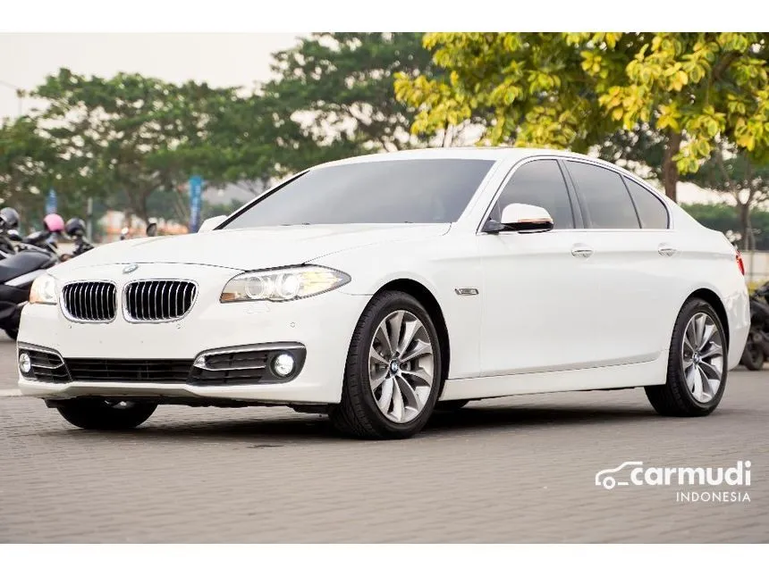 2014 BMW 520i Luxury Sedan