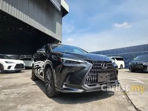 2023 Lexus NX 250 2.5 SUV