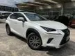Recon 2019 LEXUS NX300 I-PACKAGE (28K MILEAGE) SUNROOF WITH 360 SURROUND VIEW CAMERA - Cars for sale