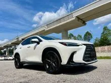 2022 RECON Lexus NX250 LUXURY FULL SPECS