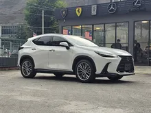2025 Lexus NX 250 2.5 Luxury SUV, Grade 6A, Version L, Low Mileage, NX250, VersionL