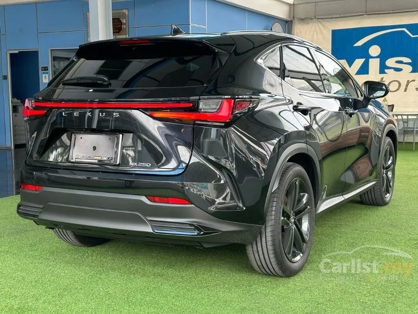 2023 Lexus NX250 Luxury SUV