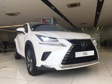 2020 Lexus NX300