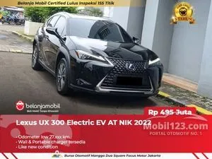 2022 Lexus UX 300e SUV