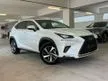 Recon 2019 Lexus NX300 2.0 I PACKAGE CHEAPEST YEAR END OFFER UNIT UNREG NX 300
