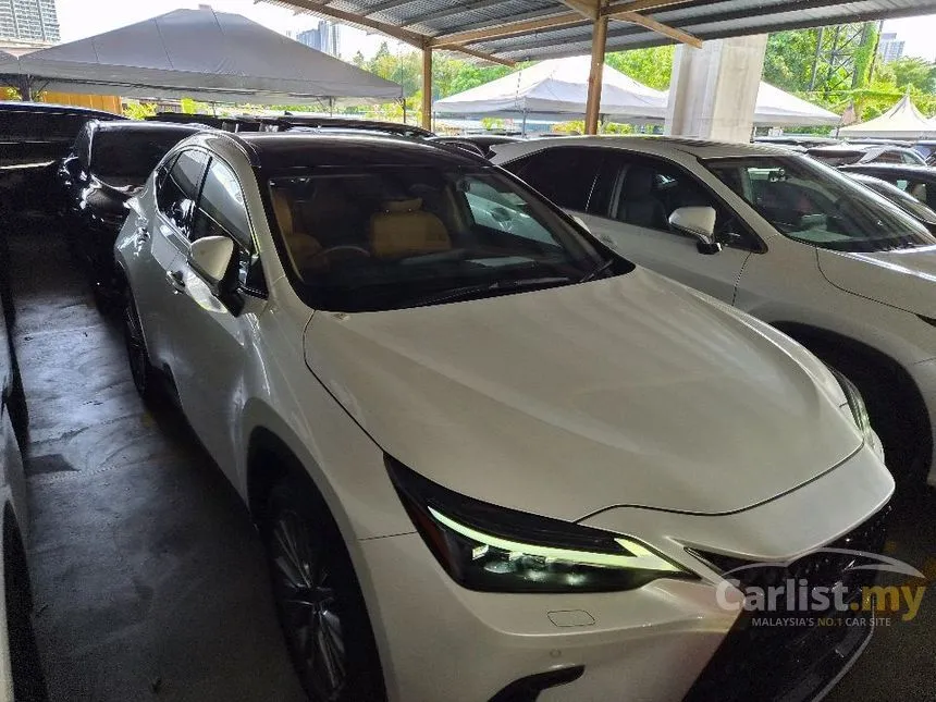 2023 Lexus NX 250 Luxury SUV