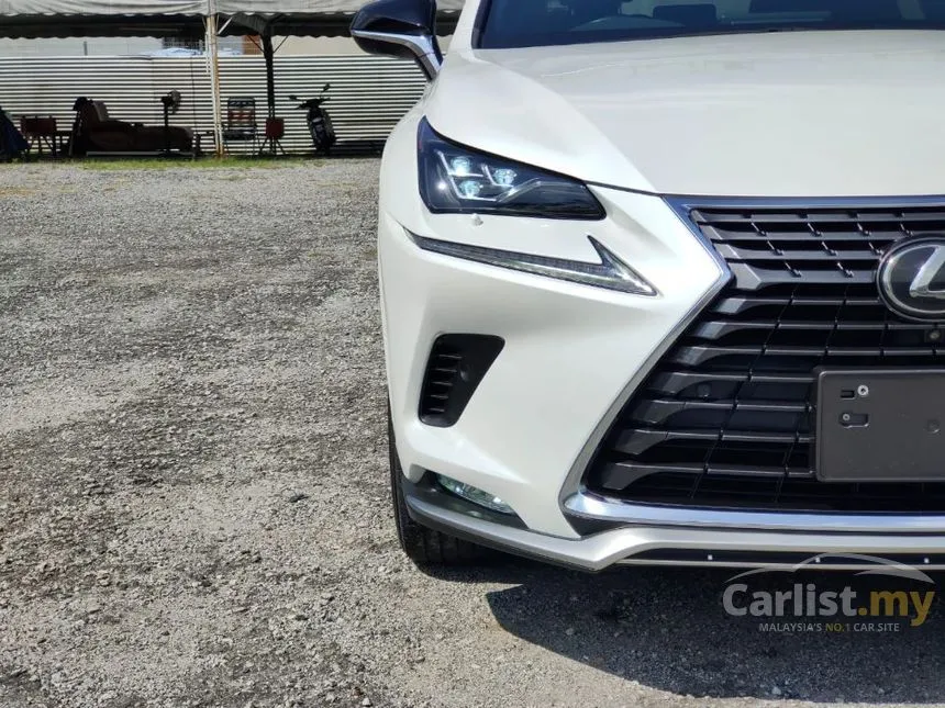 2021 Lexus NX 300 Premium SUV