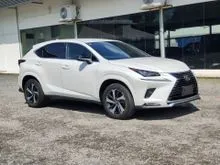 2021 Lexus NX 300 2.0 Premium SUV