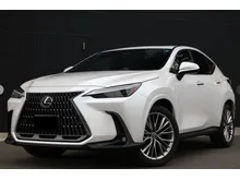 2024 Lexus NX 250 2.5 Luxury SUV INCOMING STOCK