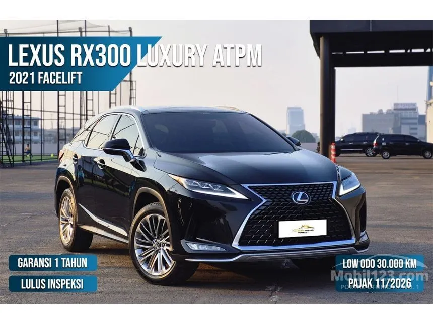 2021 Lexus RX 300 Luxury SUV