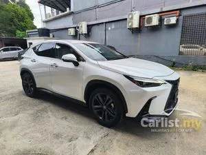2022 Lexus NX 250 2.5 Luxury SUV