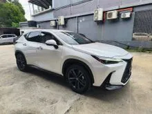 2022 Lexus NX 250 2.5 VERSION L / GRADE 5A / 20K KM MILEAGE / BROWN INTERIOR / 360 CAMERA / HUD / BSM / 2022 UNREGISTER