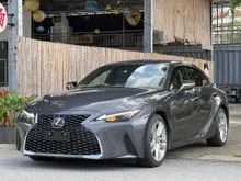 Nebula Gray Pearl - 2021 Lexus IS 300 2.0 Luxury