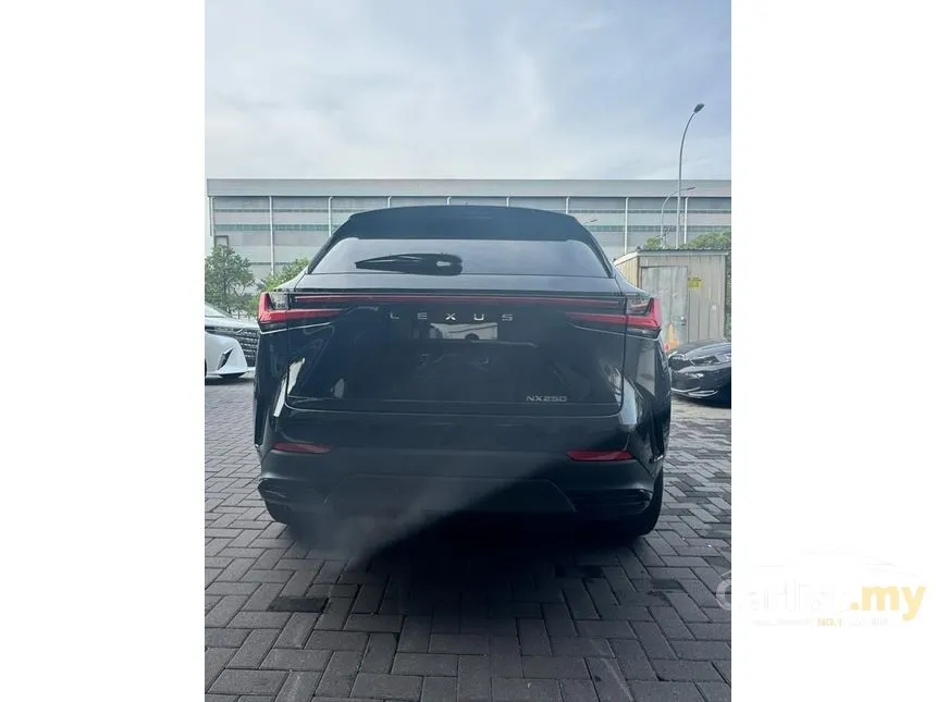2023 Lexus NX 250 SUV