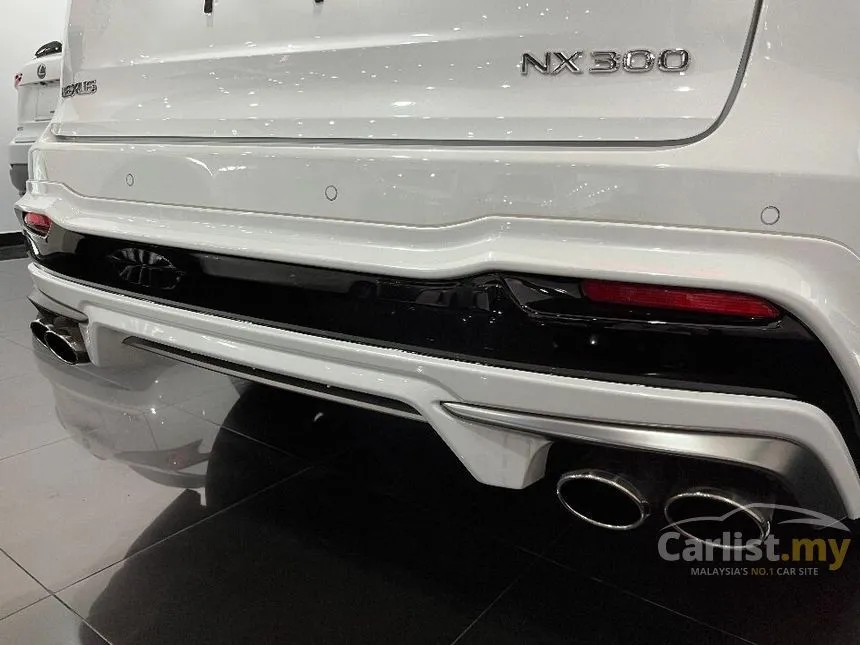 2020 Lexus NX300 F Sport SUV