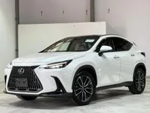 2023 UNREGISTER Lexus NX 250 2.5 Luxury HUD/DIM/BSM/4 Cam, Panaromic Roof/Wireless Charging Pad (ready Stock)