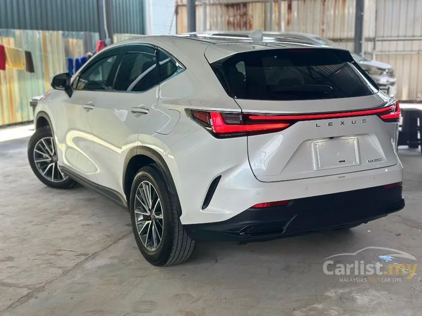 2023 Lexus NX 250 SUV