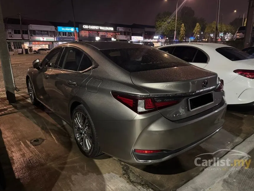 2019 Lexus ES 250 Luxury Sedan