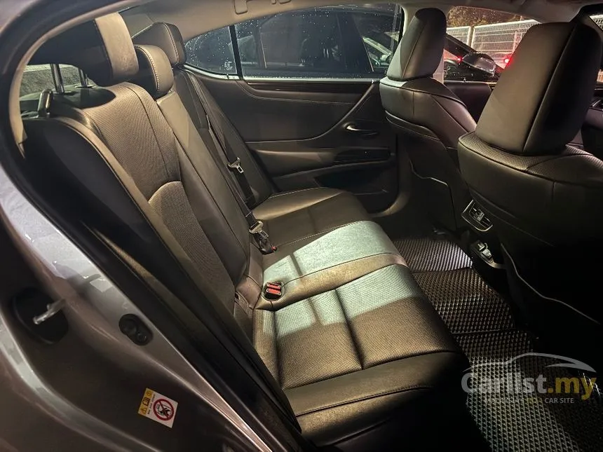 2019 Lexus ES 250 Luxury Sedan