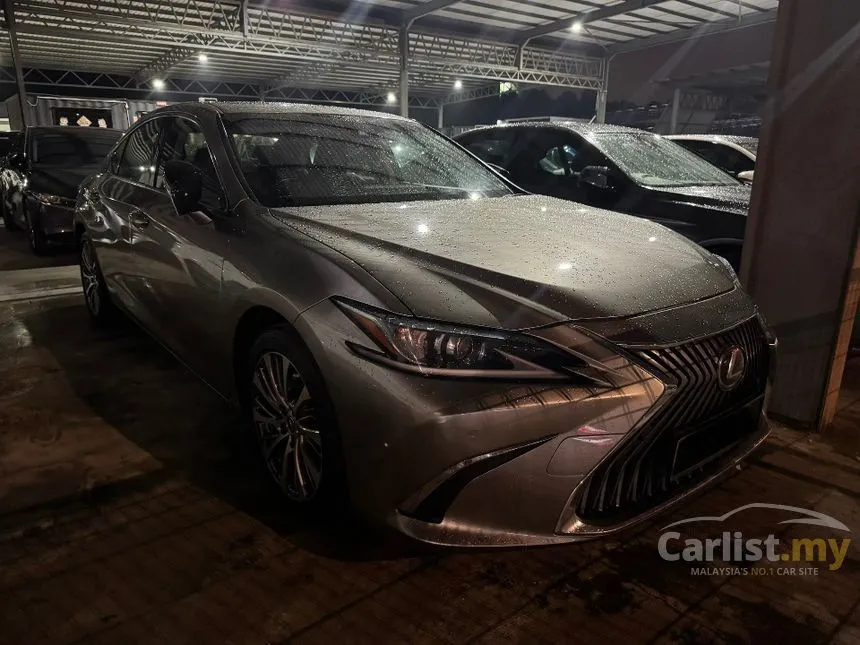 2019 Lexus ES 250 Luxury Sedan