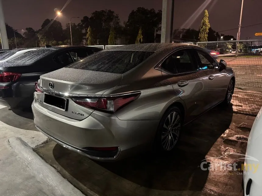 2019 Lexus ES 250 Luxury Sedan