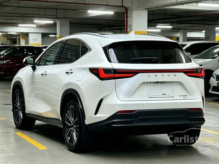 2023 Lexus NX 250 Luxury SUV
