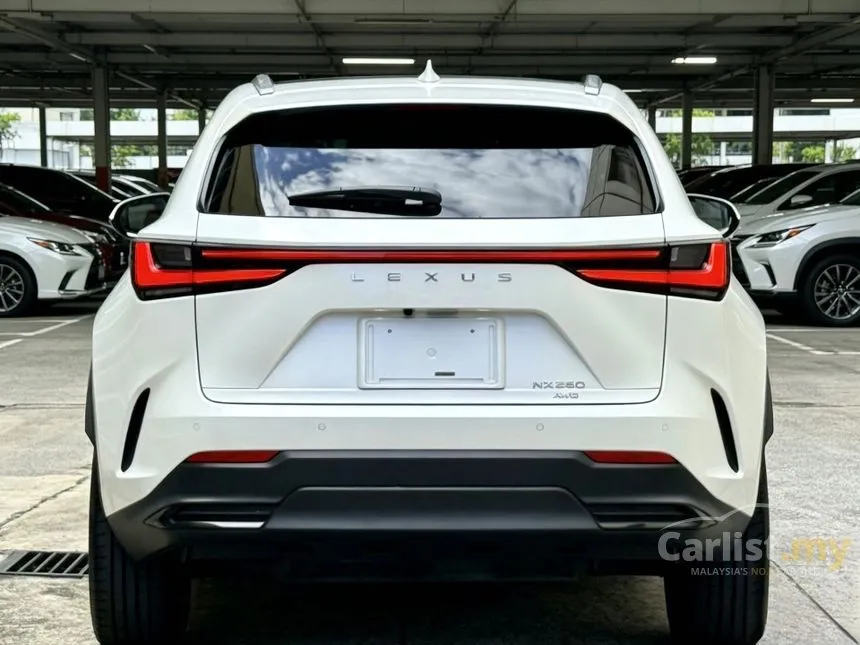 2023 Lexus NX 250 Luxury SUV