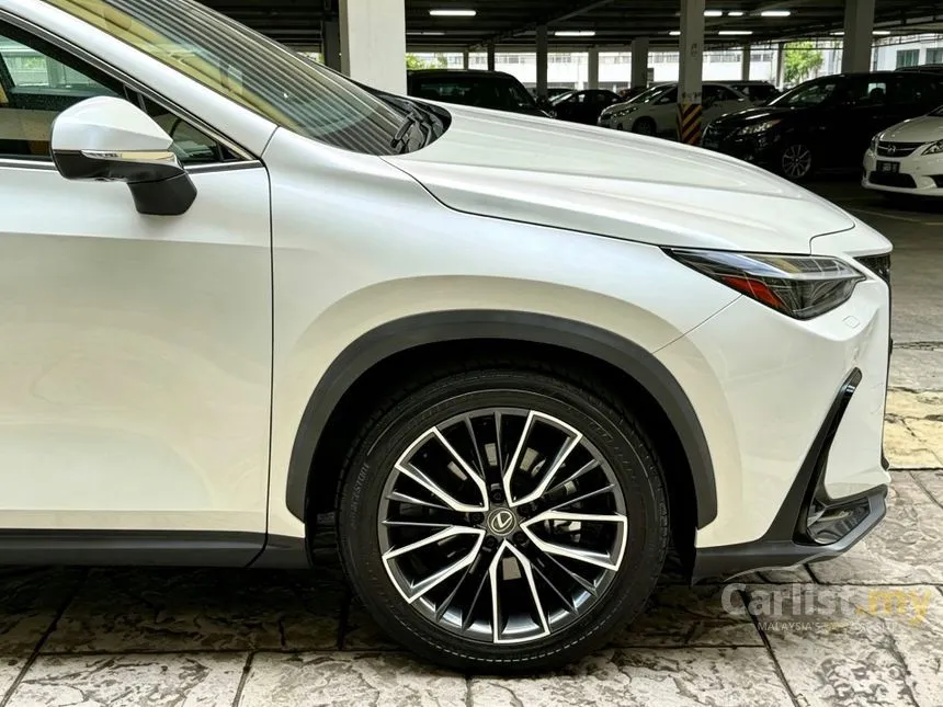 2023 Lexus NX 250 Luxury SUV