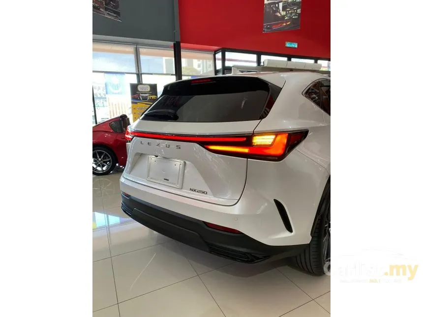 2022 Lexus NX 250 Luxury SUV