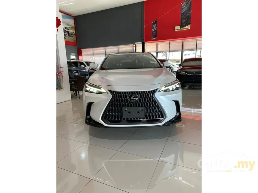 2022 Lexus NX 250 Luxury SUV