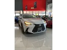 2022 Lexus NX 250 2.5 Luxury SUV