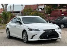 2022 Lexus ES 250 2.5 Luxury Cheapest in JB