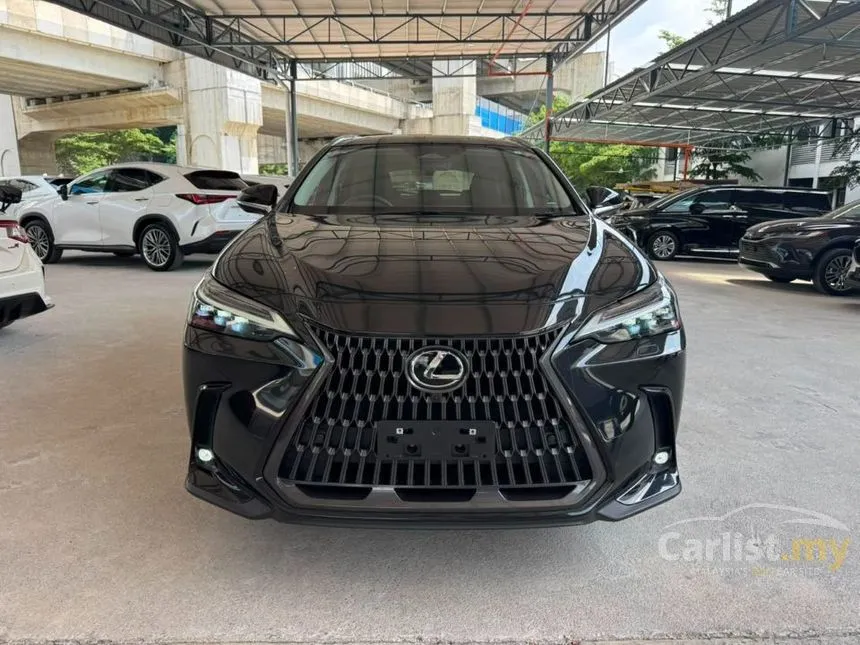2023 Lexus NX 250 SUV
