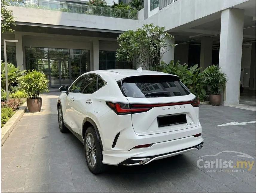 2023 Lexus NX 250 SUV