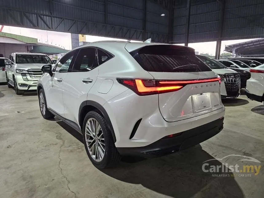 2022 Lexus NX 250 Luxury SUV