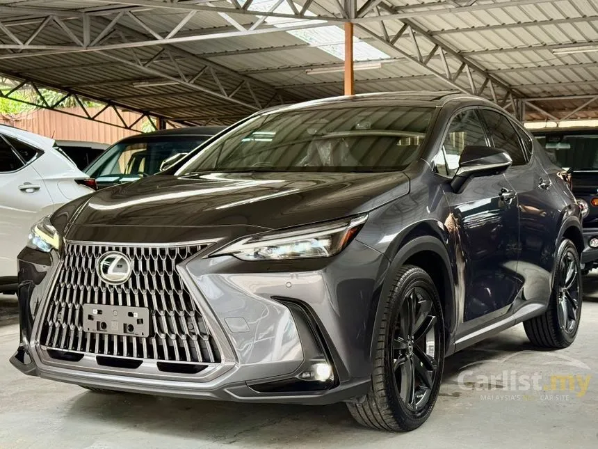 2022 Lexus NX 250 Luxury SUV