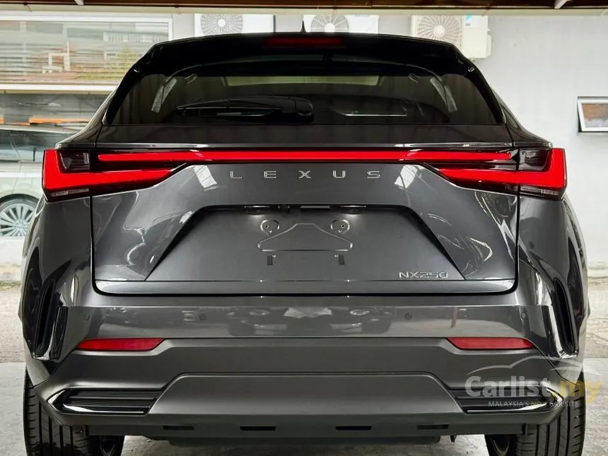 2022 Lexus NX 250 Luxury SUV